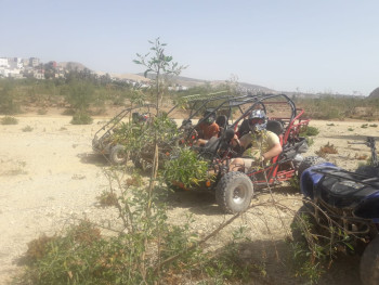 Dört Agadir - Buggy…